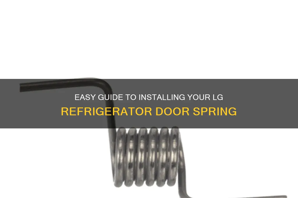 how to install lg refrigerator door spring