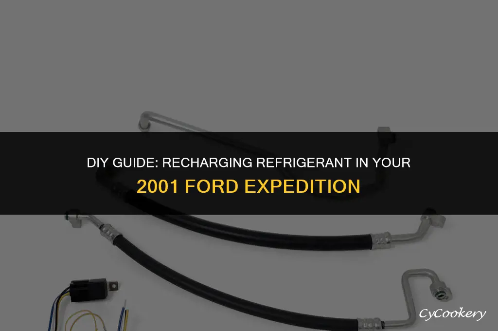 how to install refrigerant into 2001 ford expedition