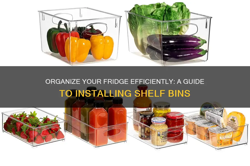 how to install shelf bins in refrigerator