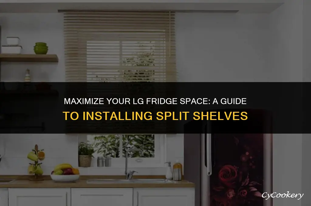 how to install split shelves in an lg refrigerator