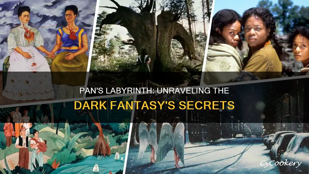 how to interpret pan