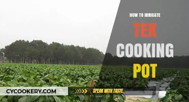 The Ultimate Guide: Irrigating Your Tek Cooking Pot