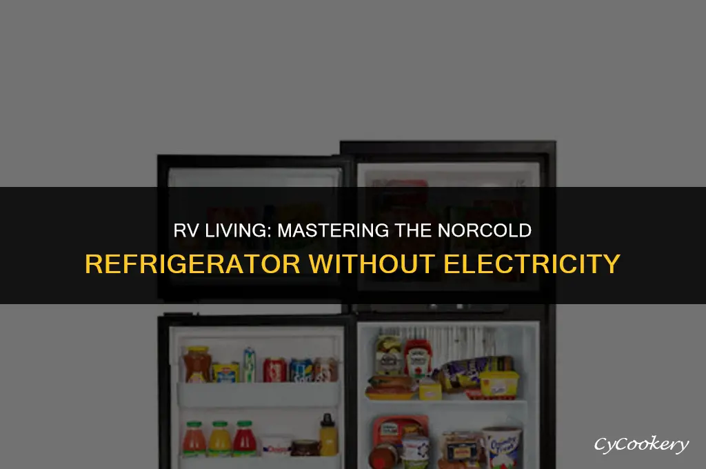 how to ise norcold rv refrigerator with no electricity