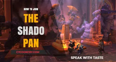 Joining the Shado-Pan: Requirements and Challenges