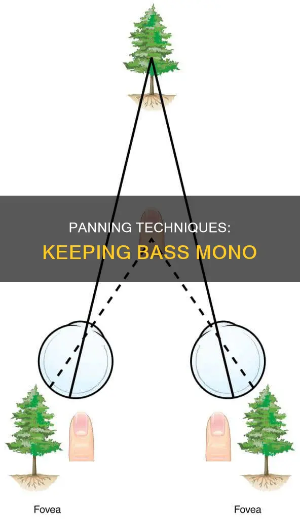 how to keep bass mono when panning