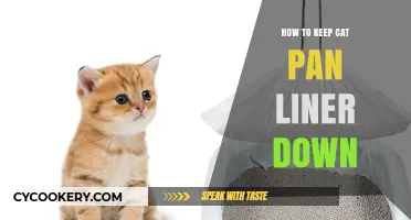 Keep Cat Pan Liners Down: Tips and Tricks