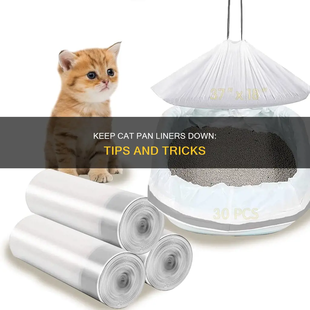 how to keep cat pan liner down