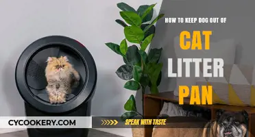 Keep Cats' Litter Pans Dog-Free: Tips for Pet Owners