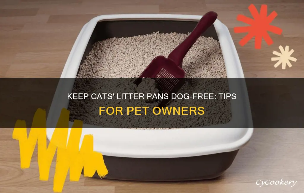 how to keep dog out of cat litter pan