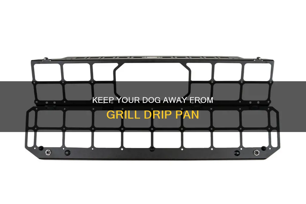how to keep dog out of grill drip pan