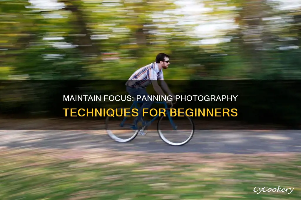 how to keep focus while panning