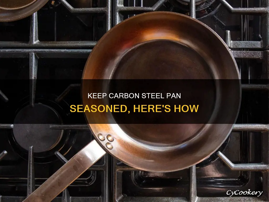 how to keep my lodge carbon steele pan seasoned