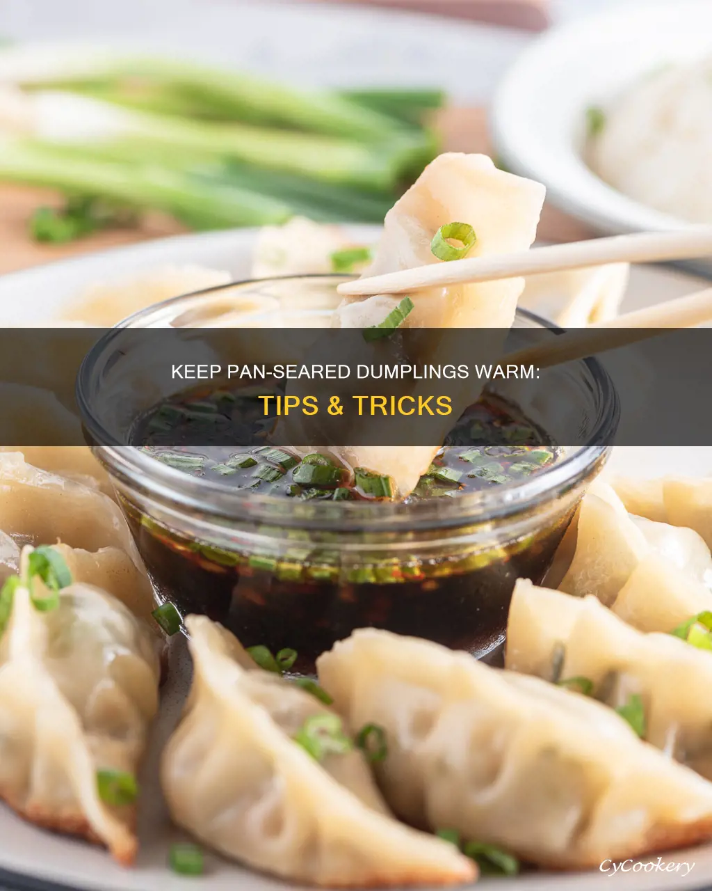 how to keep pan seared dumplings warm for serving