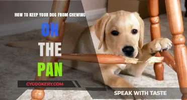 Prevent Your Dog From Chewing on the Pan