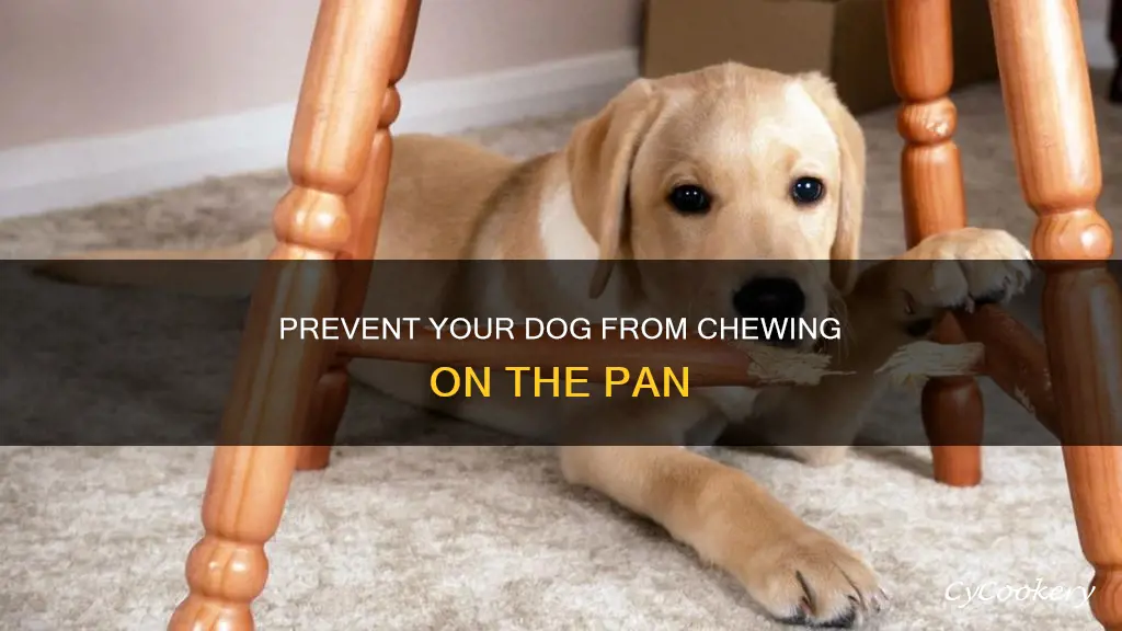 how to keep your dog from chewing on the pan