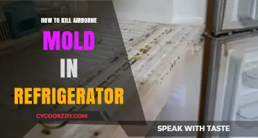 Effective Ways to Eliminate Airborne Mold in Your Refrigerator