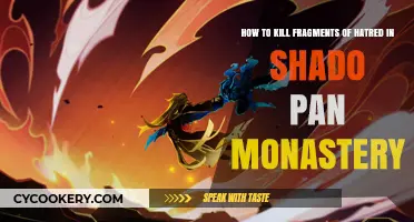 Killing Fragments of Hatred in Shado-Pan Monastery