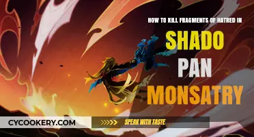 Killing Fragments of Hatred in Shado-Pan Monastery