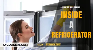 Effective Ways to Eliminate Germs and Sanitize Your Refrigerator