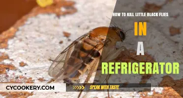 Effective Ways to Eliminate Pesky Black Flies from Your Fridge