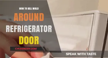 Effective Ways to Eliminate Mold Around Your Refrigerator Door