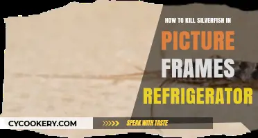 Effective Methods to Eliminate Silverfish in Picture Frames and Refrigerators