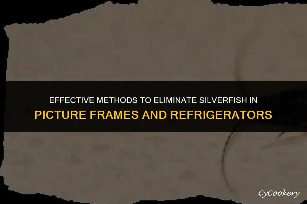 how to kill silverfish in picture frames refrigerator