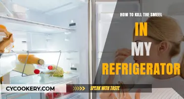 Freshen Up Your Fridge: A Guide to Eliminating Odors