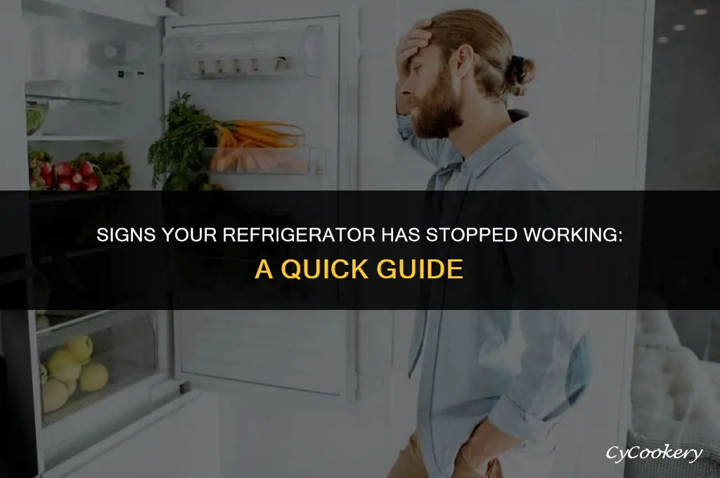 how to kjow if your refrigerator went out