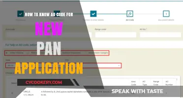 Understanding the AO Code for Your New PAN Application