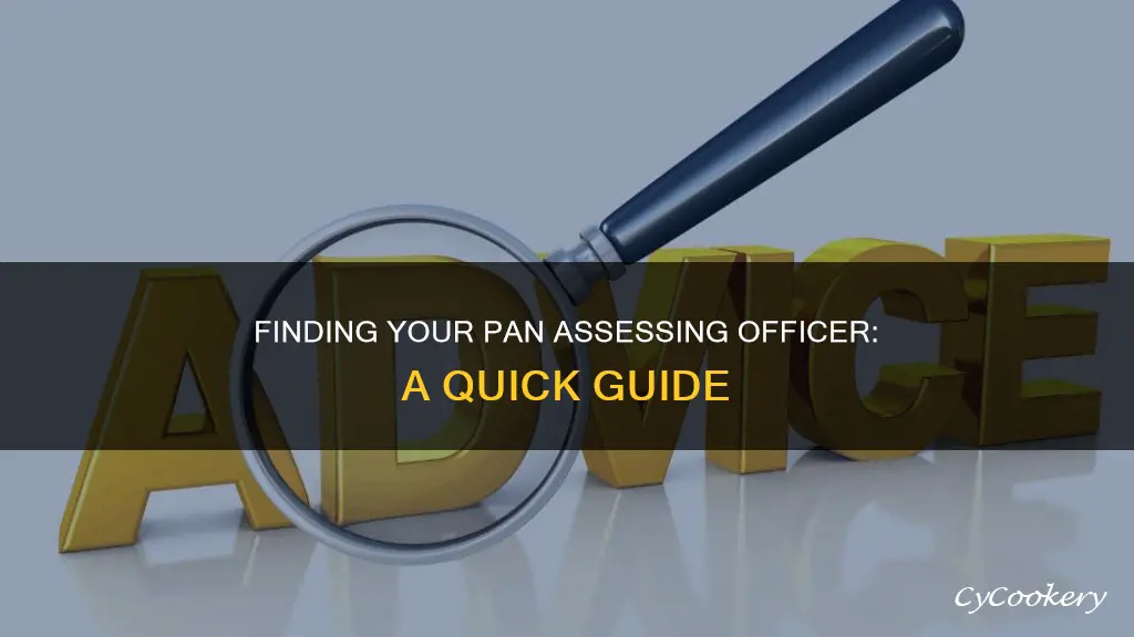 how to know assessing officer by pan