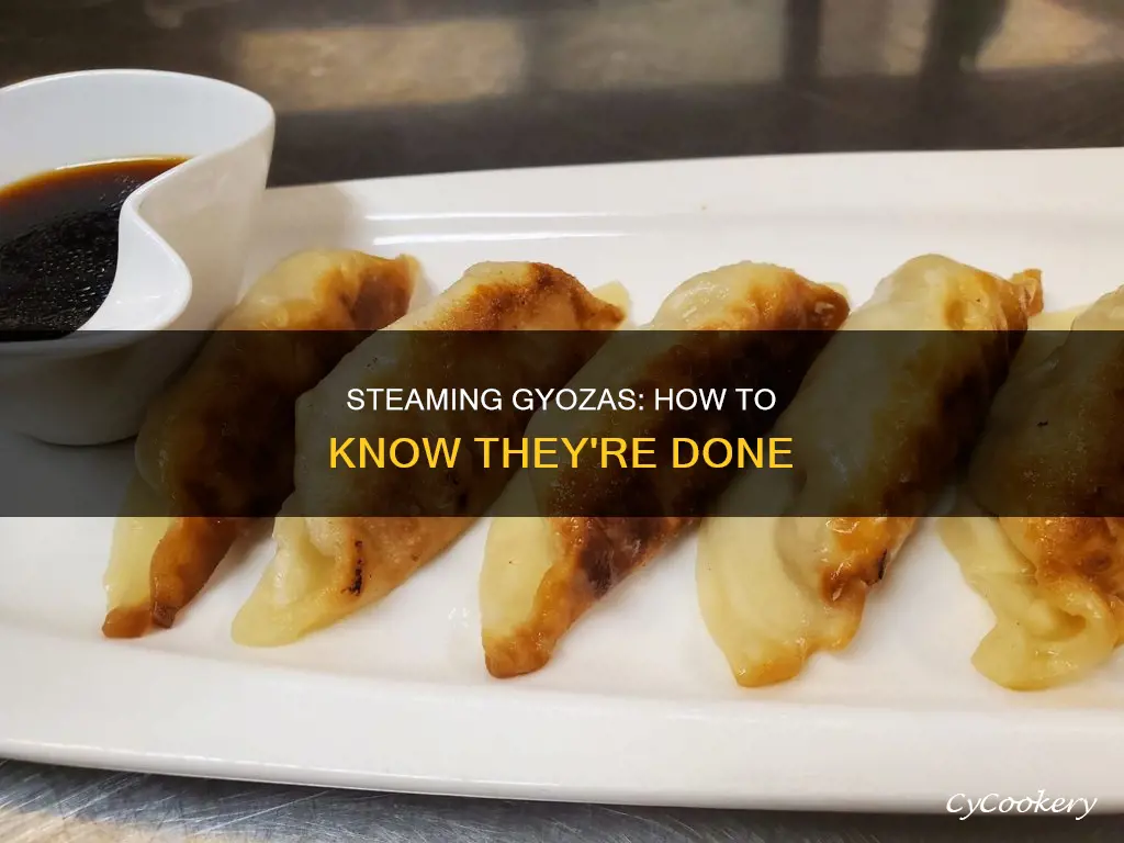 how to know if gyoza is cooked steamed