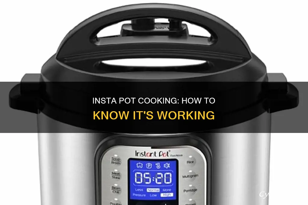 how to know if insta pot is cooking