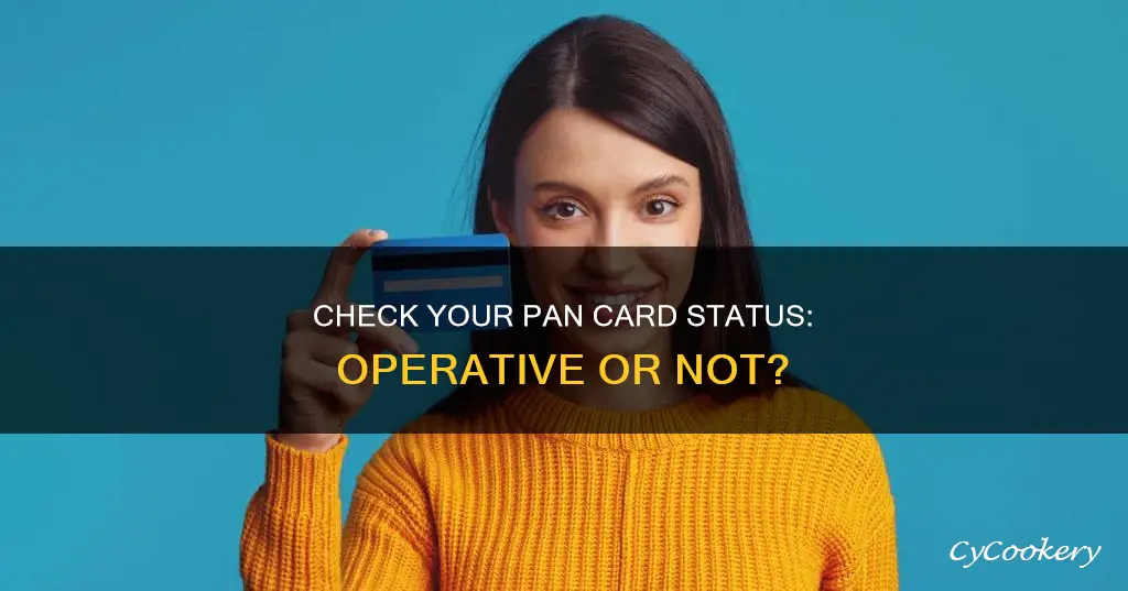 how to know if pan is operative or not