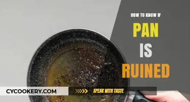 Signs Your Pan is Ruined and Needs Replacing