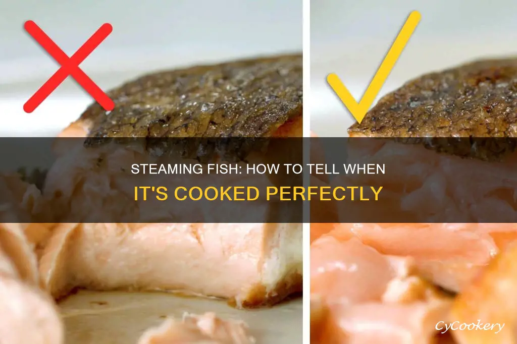 how to know if steam fish is cooked