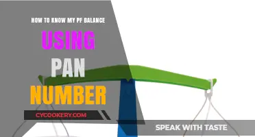 Check Your PF Balance Easily Using PAN Number: A Quick Guide