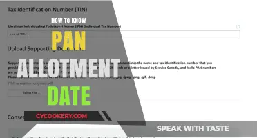 PAN Allotment Date: When to Expect Your PAN Card