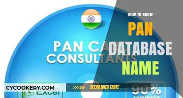 Unveiling the PAN Database: Quick and Easy Steps