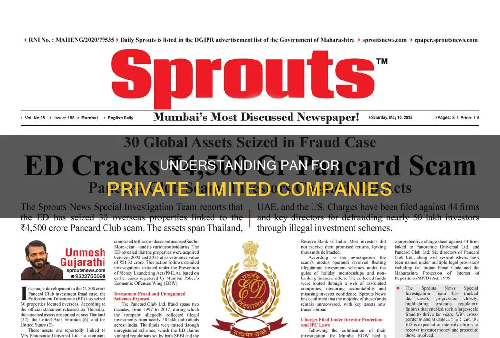 how to know pan of private limited company