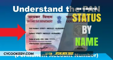 Check PAN Status: Steps to Verify by Name