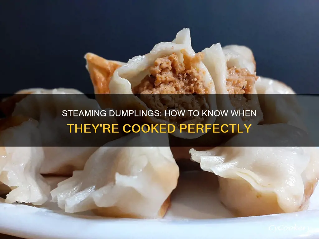 how to know when steamed dumplings are cooked