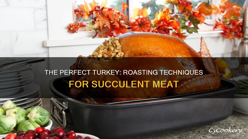 how to lay turkey in pan