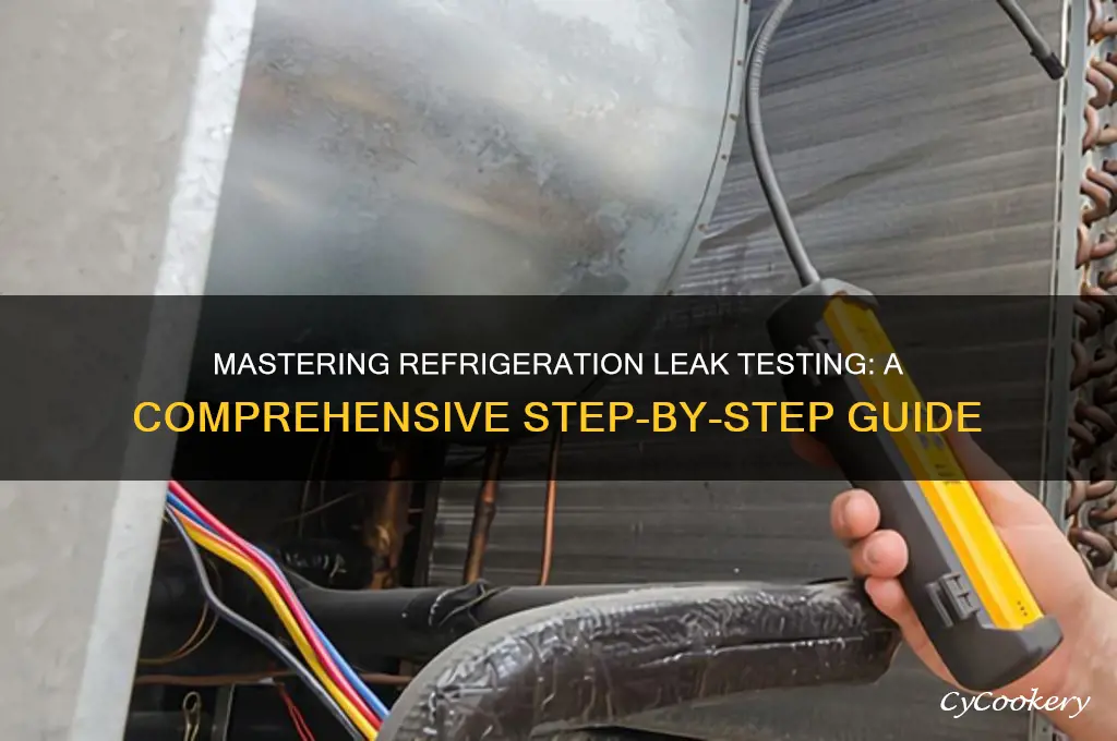how to leak test a refrigeration system