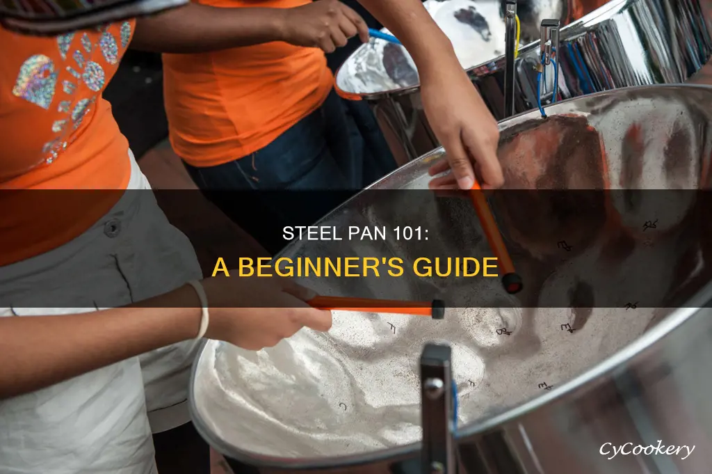 how to learn steel pan