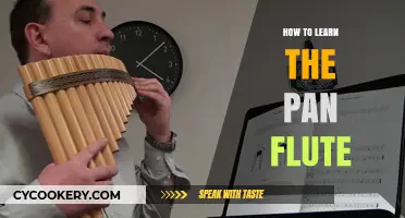 Mastering the Pan Flute: A Beginner's Guide