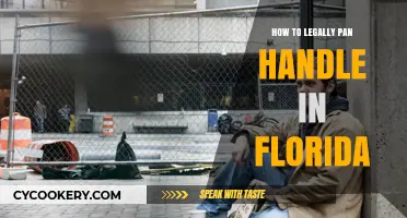 Florida Panhandling: What's Legal and What's Not