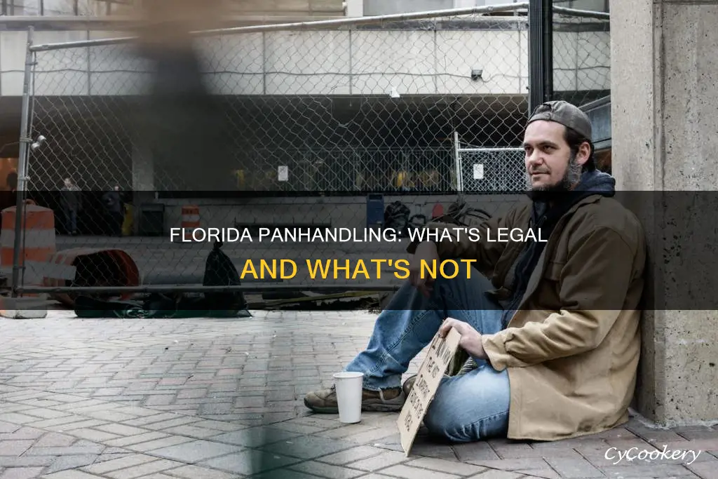 how to legally pan handle in Florida