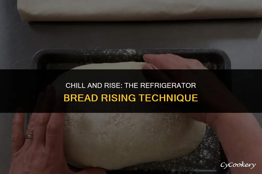 how to let bread rise in the refrigerator