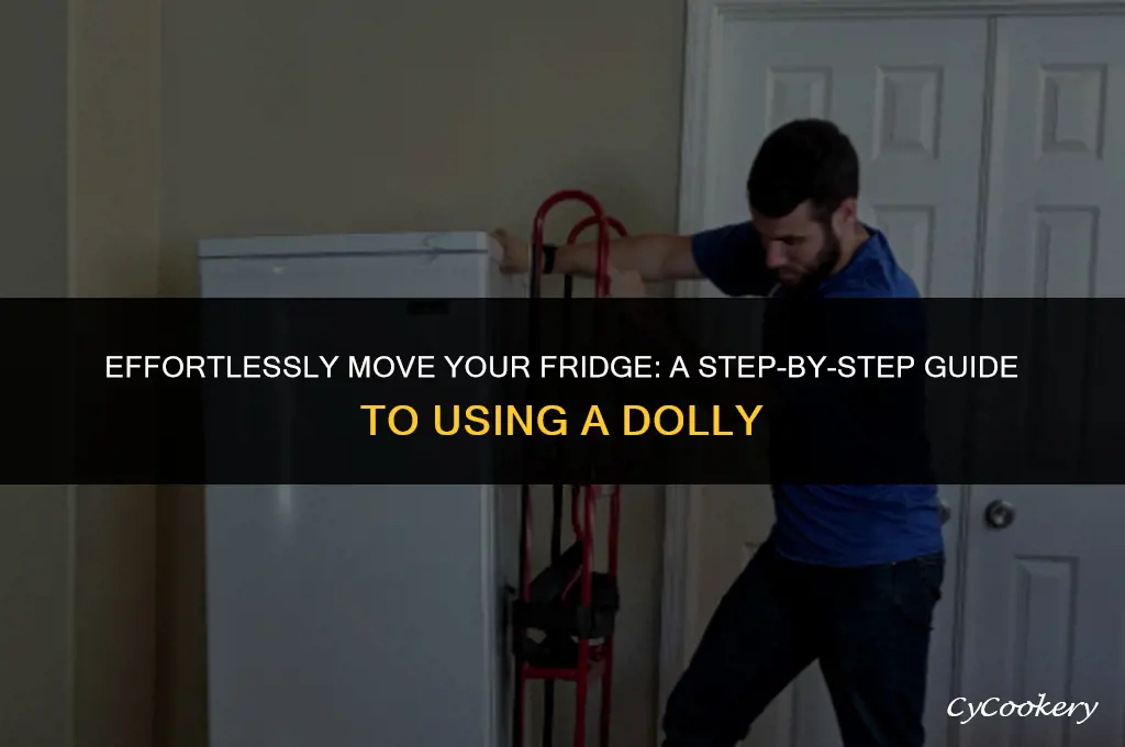 how to lift a refrigerator up onto a dooly